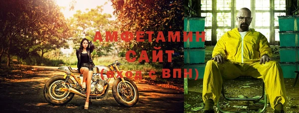 сатива Аркадак